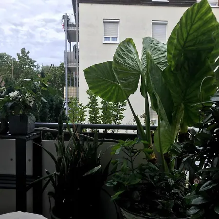 Mit Balkon Am Bodensee Rum i privatbostad Friedrichshafen